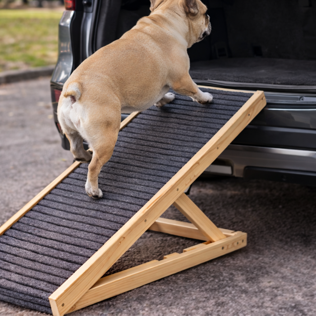 Pawthorne™ | Orthopaedic Dog Ramp